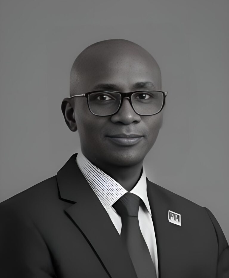 Michael Ehimah Etumudon, Acting Chief Financial Officer of BUA Foods Plc