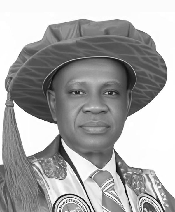 Ikechukwu Nosike Simplicius Dozie, Vice-Chancellor of the Federal University of Technology Owerri