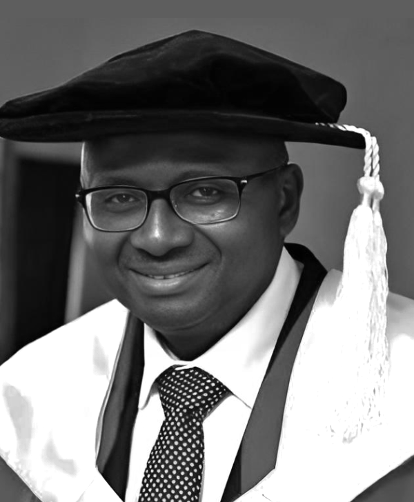 Professor Kayode Oyebode Adebowale, Vice-Chancellor of the University of Ibadan
