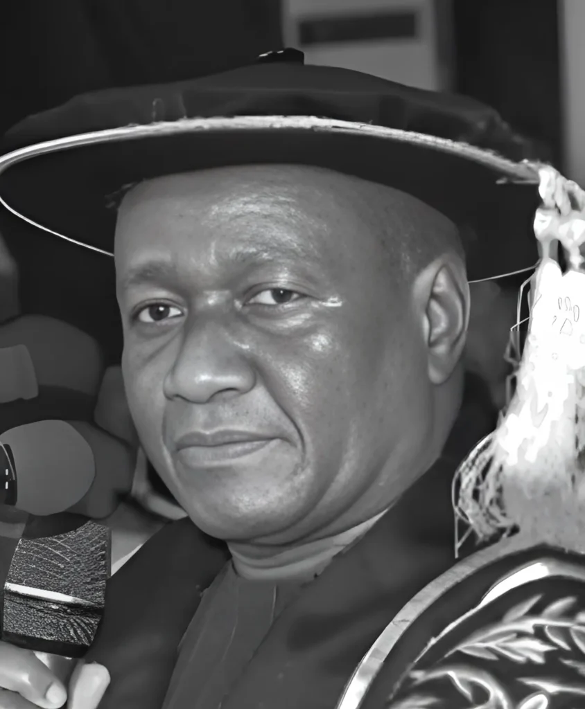 Professor Mohammed Laminu Mele, Vice-Chancellor of the University of Maiduguri